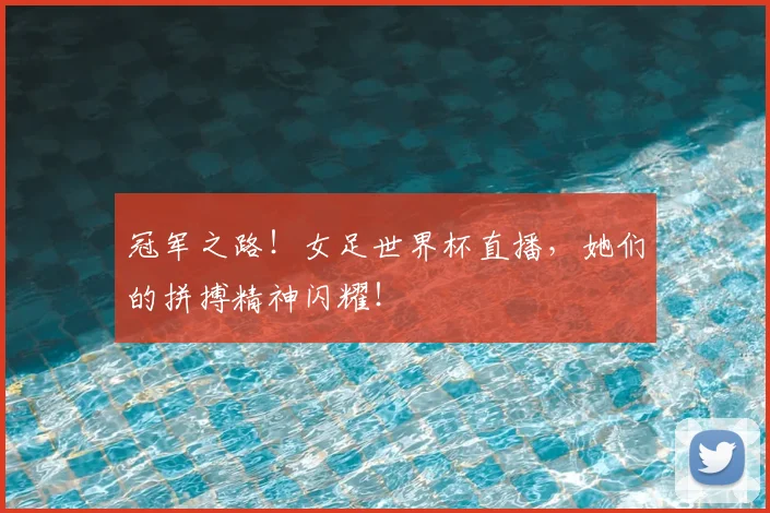 冠军之路！女足世界杯直播，她们的拼搏精神闪耀！